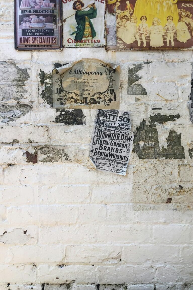 image 1767569436097541