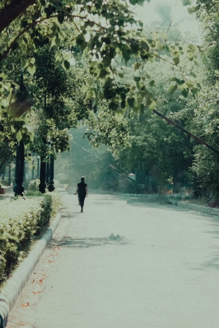 kanishk agarwal eympl4rsbhu unsplash